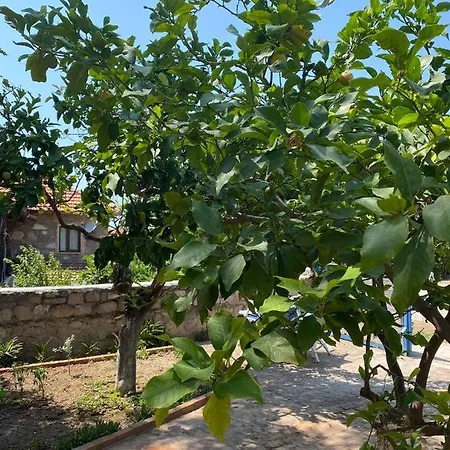 Litri Butik بيت للعطل Çeşme