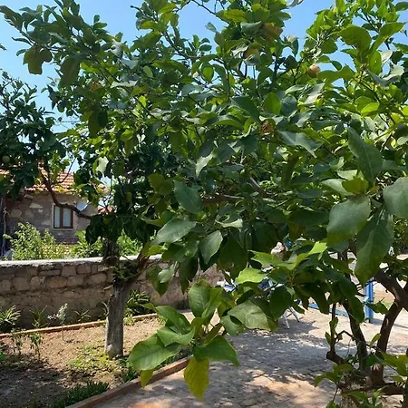 Litri Butik Couette-café Çeşme